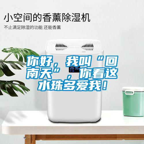 你好，我叫“回南天”，你看這水珠多愛我！