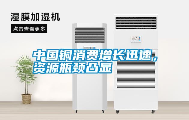 中國銅消費增長迅速，資源瓶頸凸顯