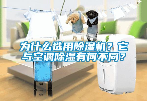 為什么選用除濕機？它與空調除濕有何不同？