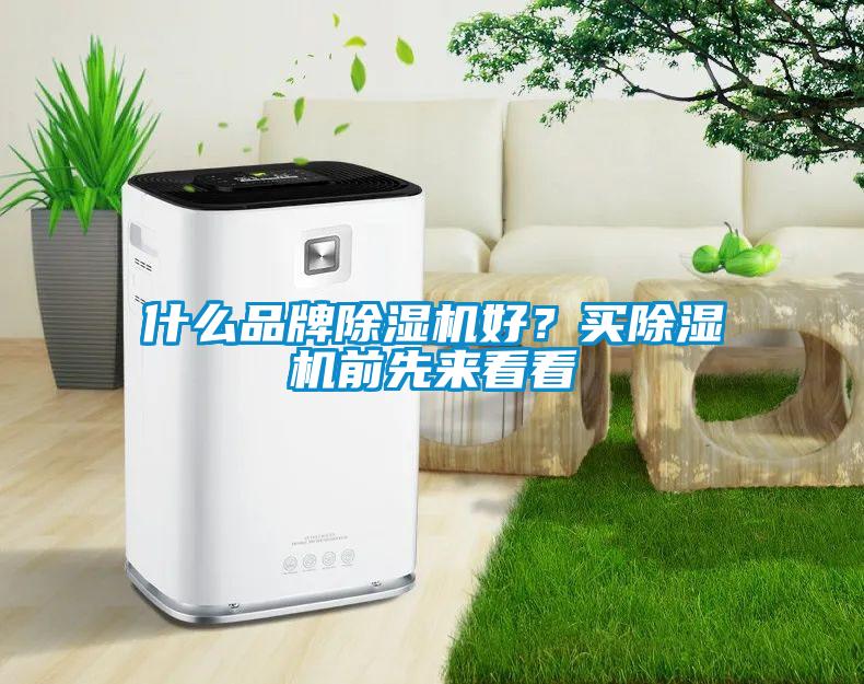什么品牌除濕機好？買除濕機前先來看看