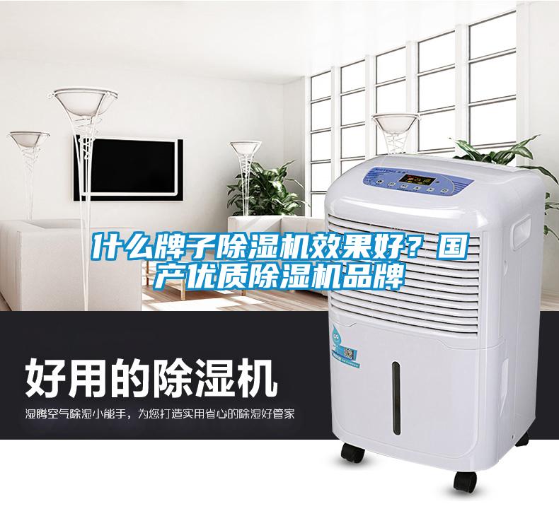 什么牌子除濕機效果好?國產(chǎn)優(yōu)質(zhì)除濕機品牌