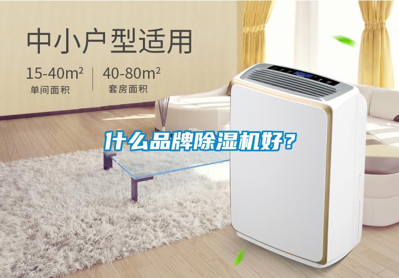 什么品牌除濕機好？