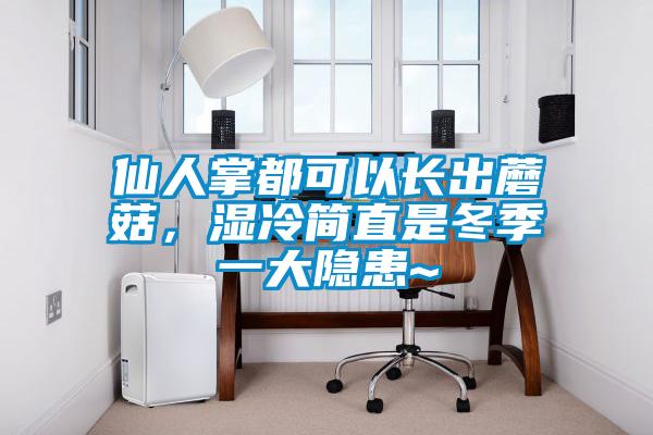 仙人掌都可以長出蘑菇,濕冷簡直是冬季一大隱患~