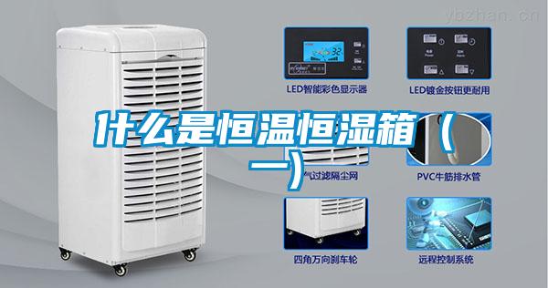 什么是恒溫恒濕箱(一)