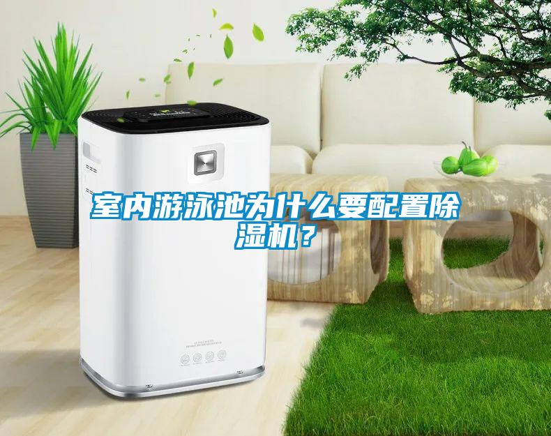 室內游泳池為什么要配置除濕機?