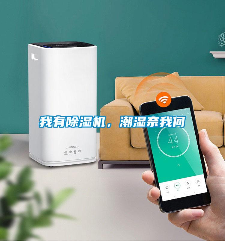 我有除濕機，潮濕奈我何