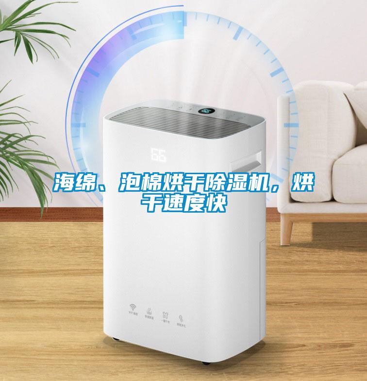 海綿、泡棉烘干除濕機,烘干速度快