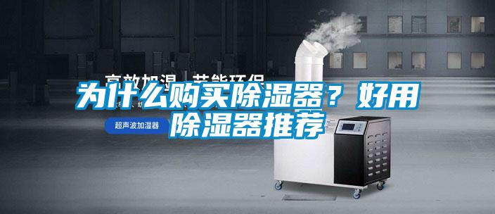 為什么購(gòu)買除濕器？好用除濕器推薦