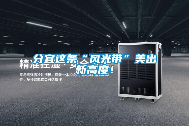 分宜這條“風光帶”美出新高度！