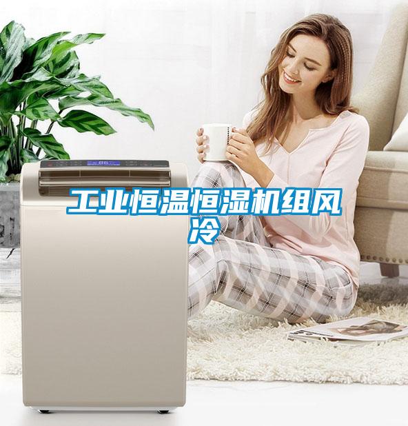 工業恒溫恒濕機組風冷
