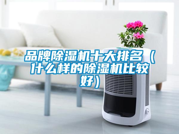 品牌除濕機十大排名(什么樣的除濕機比較好)