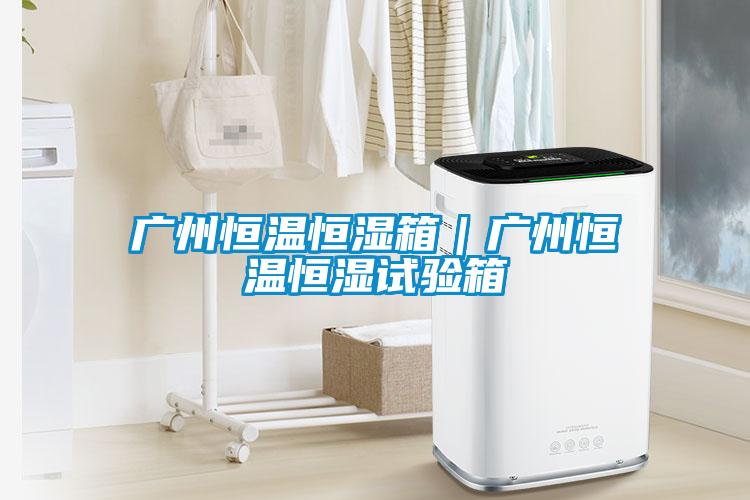 廣州恒溫恒濕箱|廣州恒溫恒濕試驗(yàn)箱