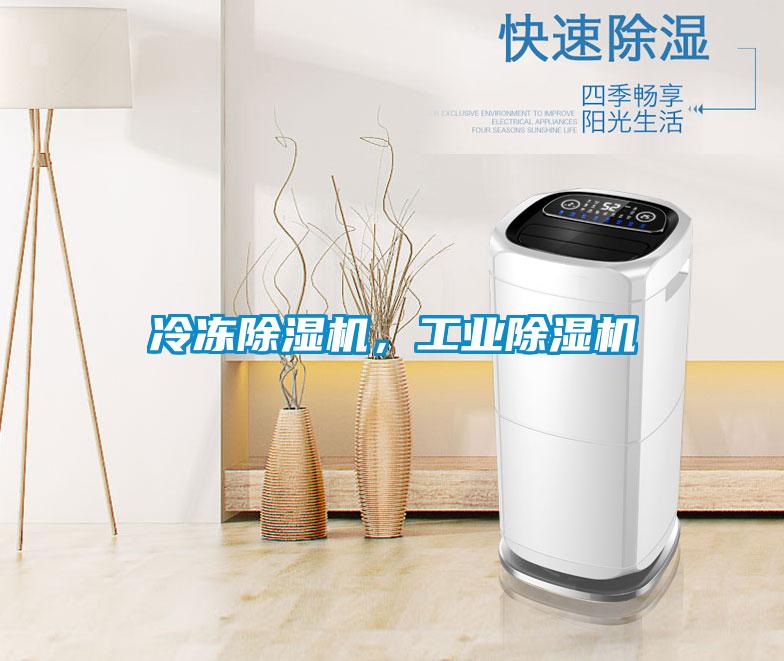 冷凍除濕機，工業除濕機