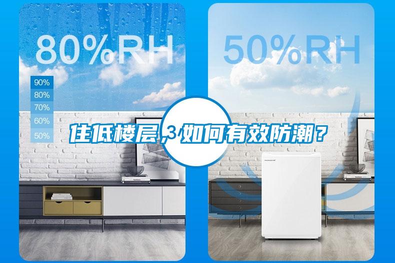 住低樓層，如何有效防潮？