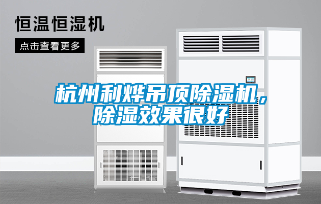 杭州利燁吊頂除濕機，除濕效果很好