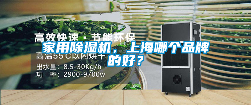 家用除濕機(jī)，上海哪個品牌的好？