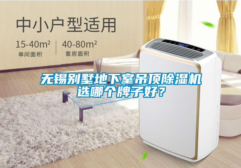 無錫別墅地下室吊頂除濕機選哪個牌子好?