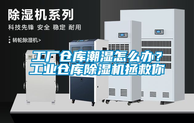 工廠倉庫潮濕怎么辦？工業倉庫除濕機拯救你