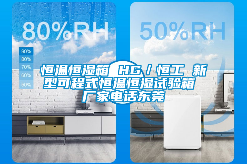 恒溫恒濕箱 HG/恒工 新型可程式恒溫恒濕試驗箱 廠家電話東莞
