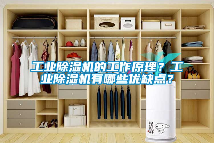 工業除濕機的工作原理？工業除濕機有哪些優缺點？