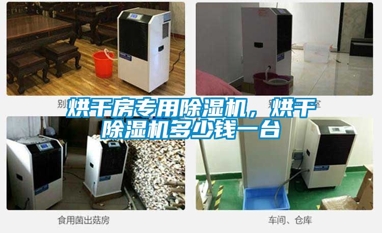 烘干房專(zhuān)用除濕機(jī),烘干除濕機(jī)多少錢(qián)一臺(tái)