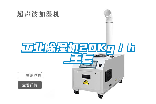 工業(yè)除濕機20Kg/h_重復