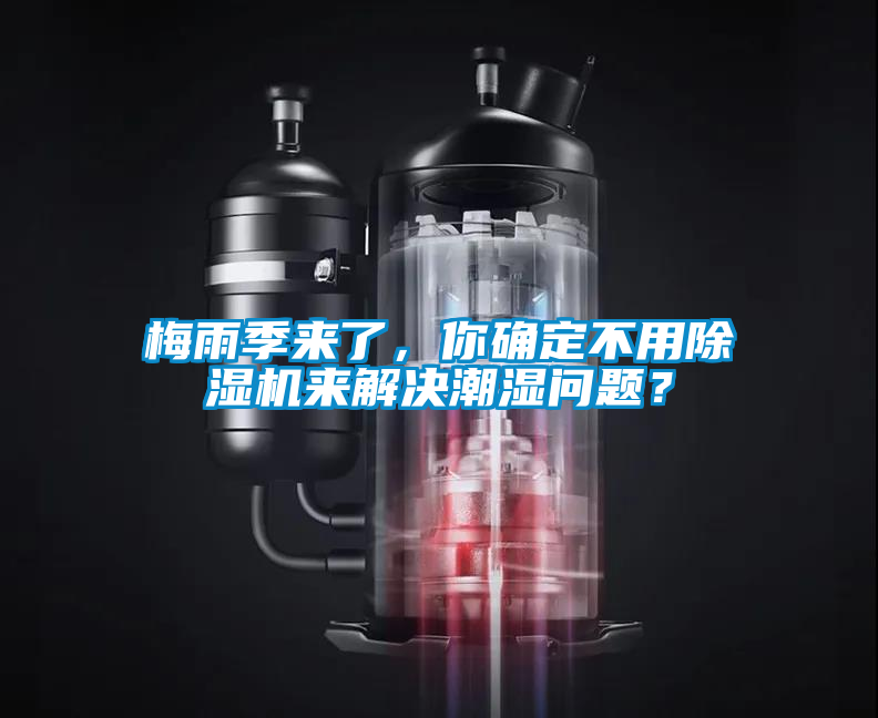 梅雨季來了，你確定不用除濕機來解決潮濕問題？