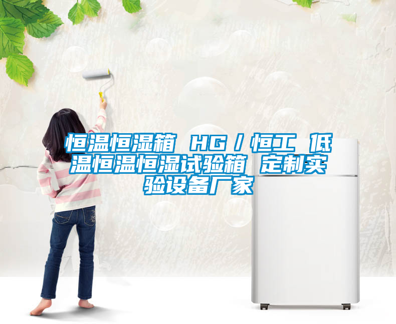 恒溫恒濕箱 HG/恒工 低溫恒溫恒濕試驗箱 定制實驗設備廠家