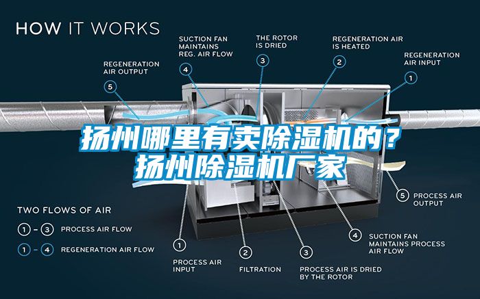 揚(yáng)州哪里有賣除濕機(jī)的？揚(yáng)州除濕機(jī)廠家