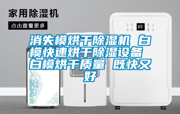 消失模烘干除濕機 白?？焖俸娓沙凉裨O備 白模烘干質量 既快又好
