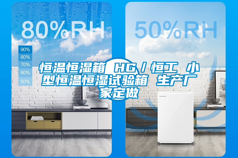 恒溫恒濕箱 HG/恒工 小型恒溫恒濕試驗箱 生產廠家定做