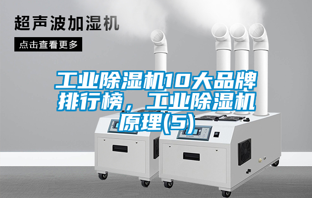 工業(yè)除濕機(jī)10大品牌排行榜，工業(yè)除濕機(jī)原理(5)
