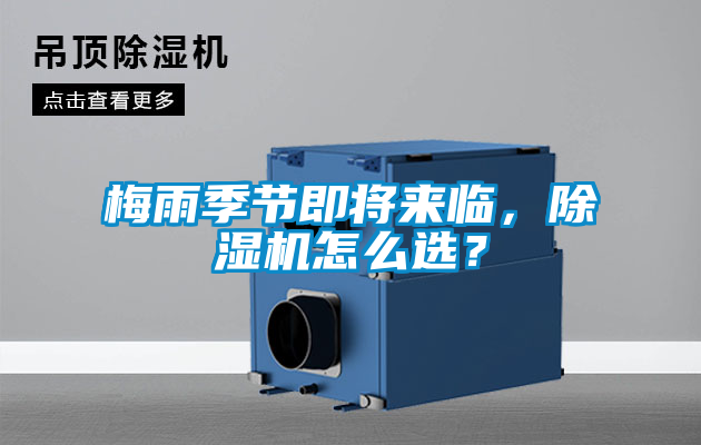 梅雨季節即將來臨,除濕機怎么選?
