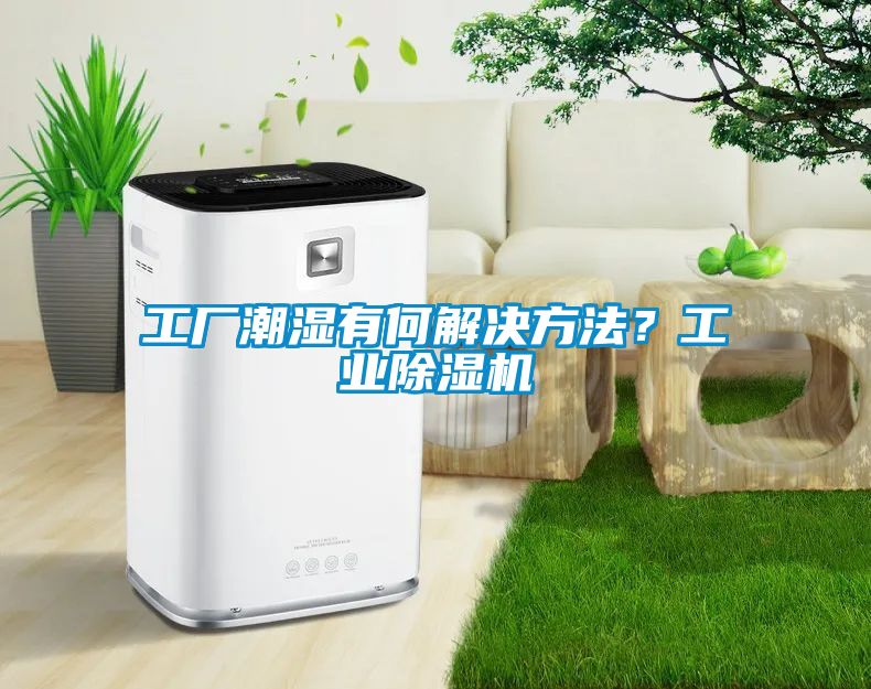 工廠潮濕有何解決方法？工業除濕機