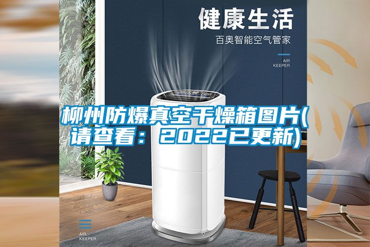 柳州防爆真空干燥箱圖片(請查看:2022已更新)