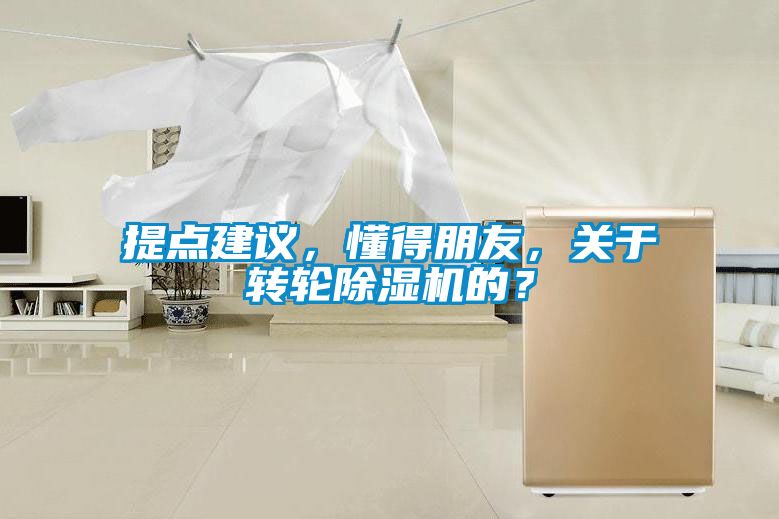 提點建議，懂得朋友，關于轉(zhuǎn)輪除濕機的？