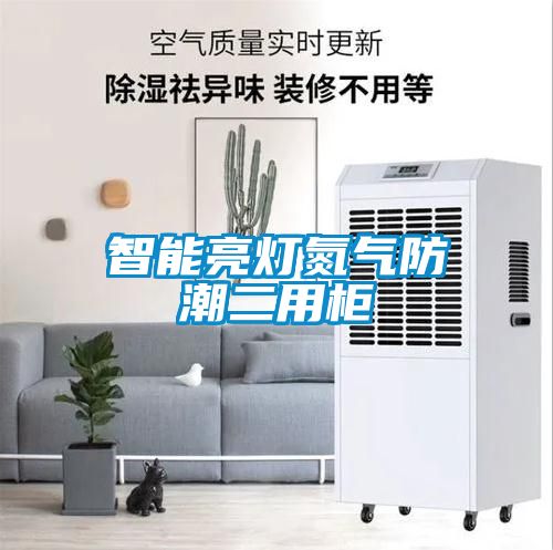 智能亮燈氮?dú)夥莱倍霉?/></p>
						    <p style=