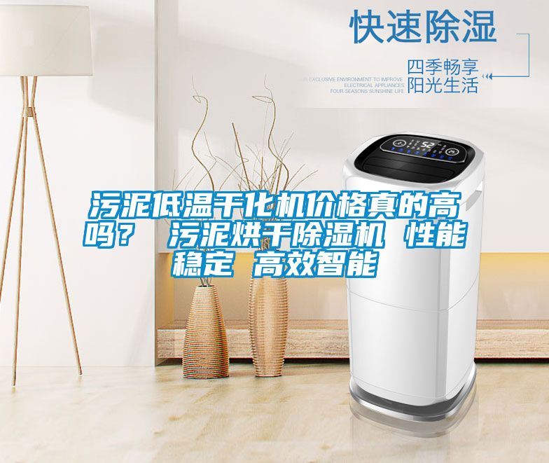 污泥低溫干化機(jī)價(jià)格真的高嗎？ 污泥烘干除濕機(jī) 性能穩(wěn)定 高效智能