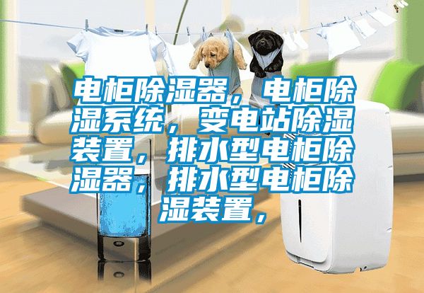 電柜除濕器，電柜除濕系統，變電站除濕裝置，排水型電柜除濕器，排水型電柜除濕裝置，