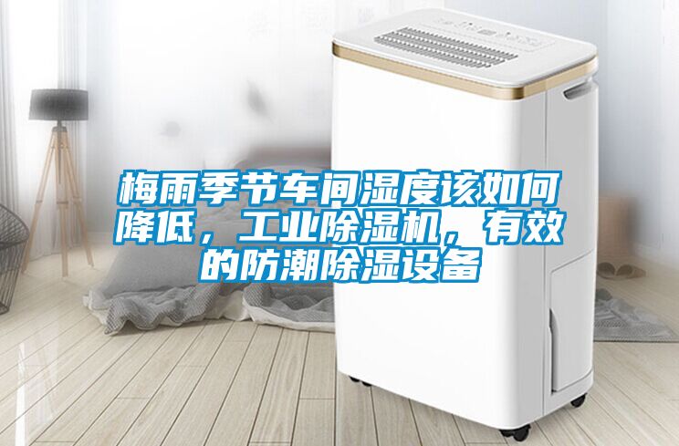 梅雨季節車間濕度該如何降低,工業除濕機,有效的防潮除濕設備