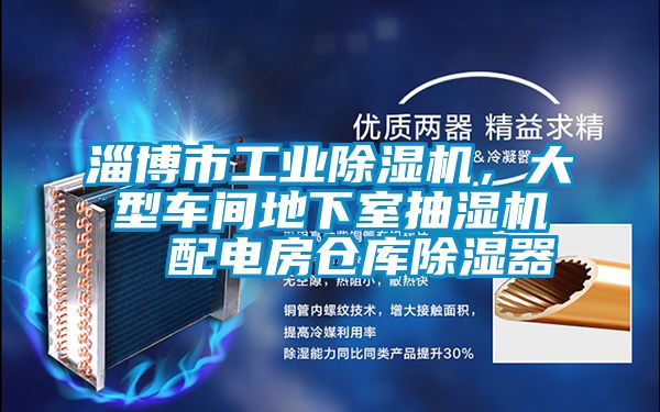 淄博市工業(yè)除濕機(jī)，大型車間地下室抽濕機(jī)  配電房倉(cāng)庫(kù)除濕器