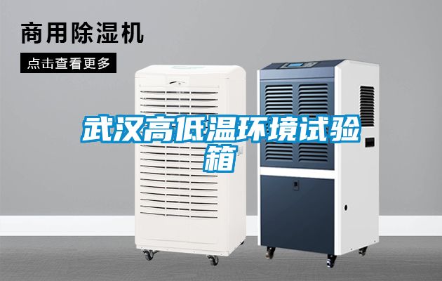 武漢高低溫環(huán)境試驗箱