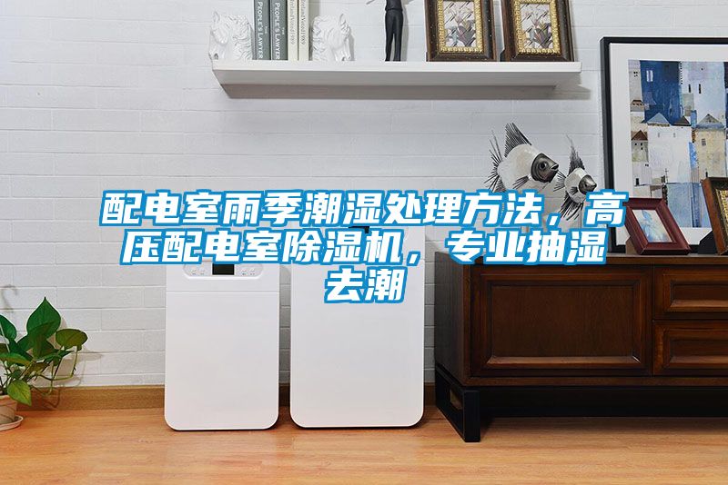 配電室雨季潮濕處理方法,高壓配電室除濕機(jī),專業(yè)抽濕去潮
