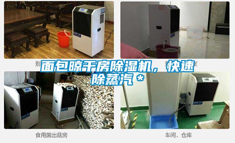 面包晾干房除濕機,快速除蒸汽*